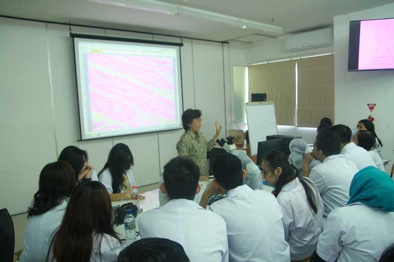 Terapi Alternatif: Pilihan Pengobatan Holistik dalam Kedokteran Modern