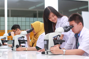 Terapi Gen: Revolusi dalam Dunia Kedokteran