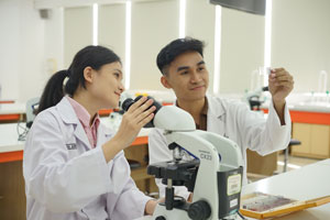 Sistem Rekam Medis Elektronik: Transformasi Layanan Kesehatan di Era Digital