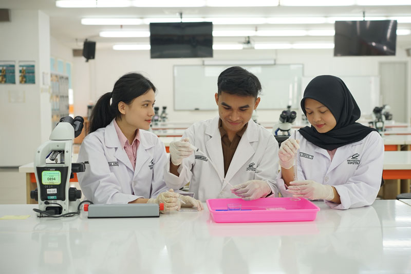Pendidikan Dokter Profesional