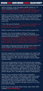 BROSUR pip-01