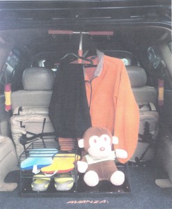 Car Hanger 1