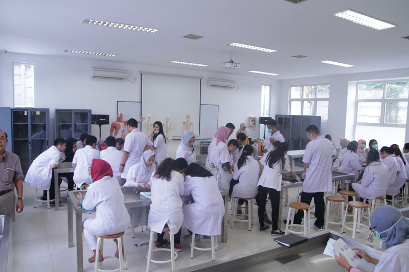 Psikologi Kesehatan: Meningkatkan Kesejahteraan Melalui Pemahaman Pikiran dan Tubuh