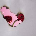 Beautifully Broken