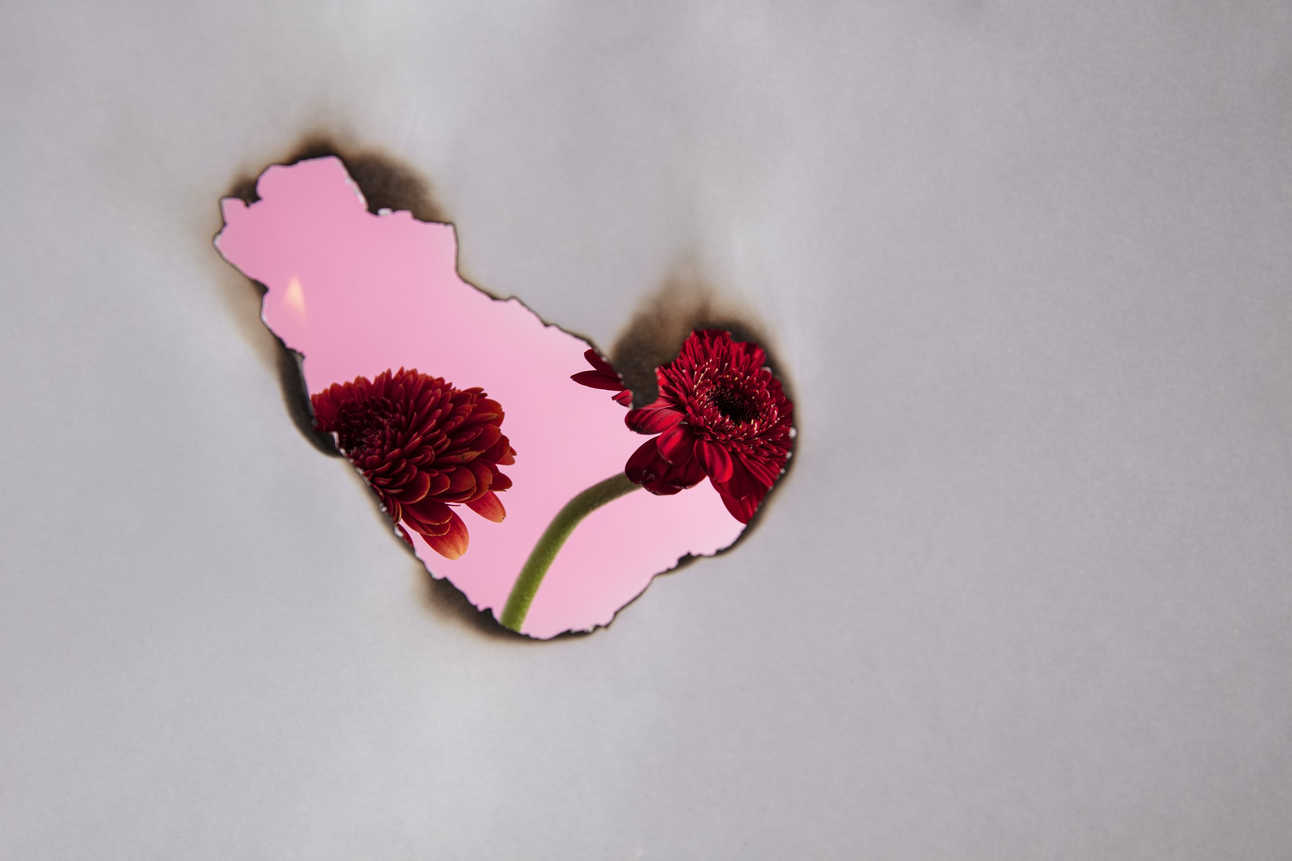 Beautifully Broken