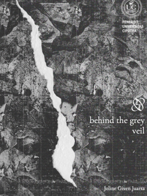 Screenshot 2026-04-27 at 16.29.51 Behind the Grey Veil